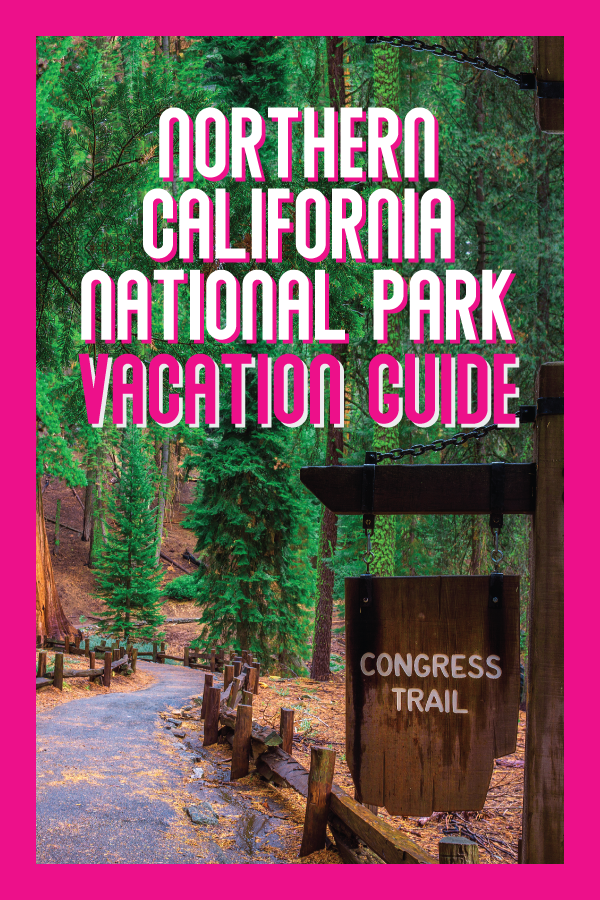 northern california national park guide.png