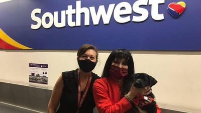 Southwest Flight Attendant Flies Rescue Pup from Texas to New Home in North Carolina