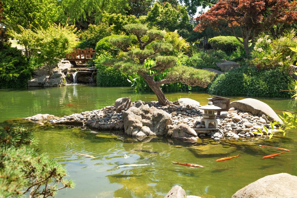 Shinzen Friendship Garden; photo by Stephen M. Keller