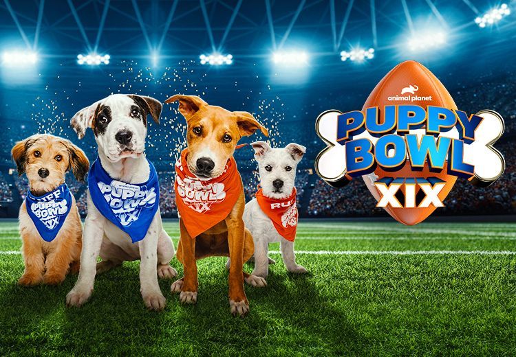 Southwest Airlines Puppy Bowl 2023.jpg