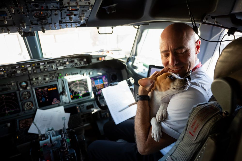 Southwest Flight Attendant greets shelter dog as he is preparing to be secured in aircraft seat.JPG