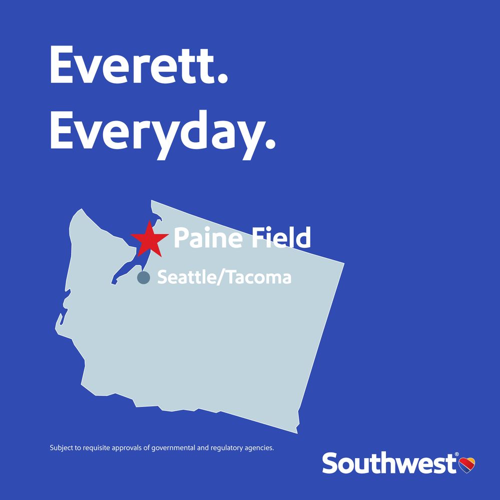 3 Everett-Everyday-1600x1600.jpg