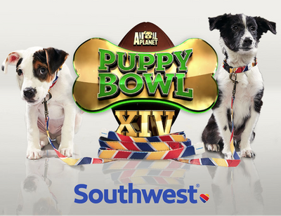 Southwest and Animal Planet’s Puppy Bowl – A Pawfect Partnership